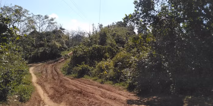 Con đường "đau khổ" vào điểm trường thôn Hùn 2 (xã Ba Tầng, huyên Hướng Hóa, Quảng Trị)