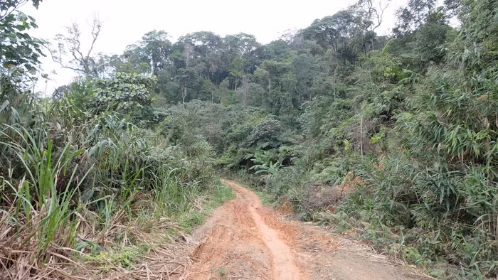 Đường đến với điểm trường mầm non A Sau.