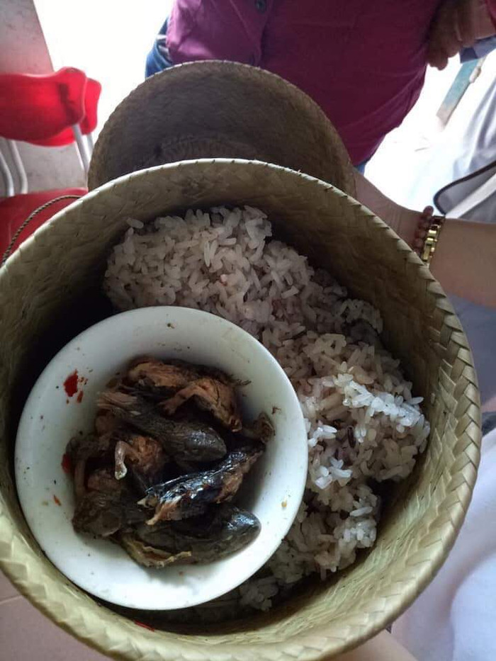 Bát cơm của học trò miền biên giới với đủ cả...đầu rắm, ếch, chuột....*