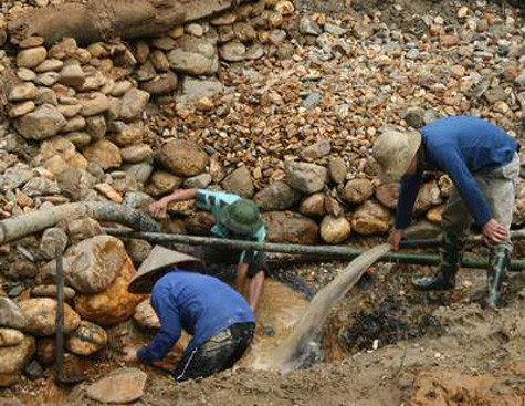 Ảnh minh họa Ảnh minh họa