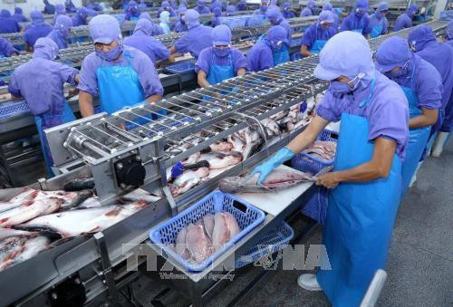 Ảnh minh họa: TTXVN Ảnh minh họa: TTXVN