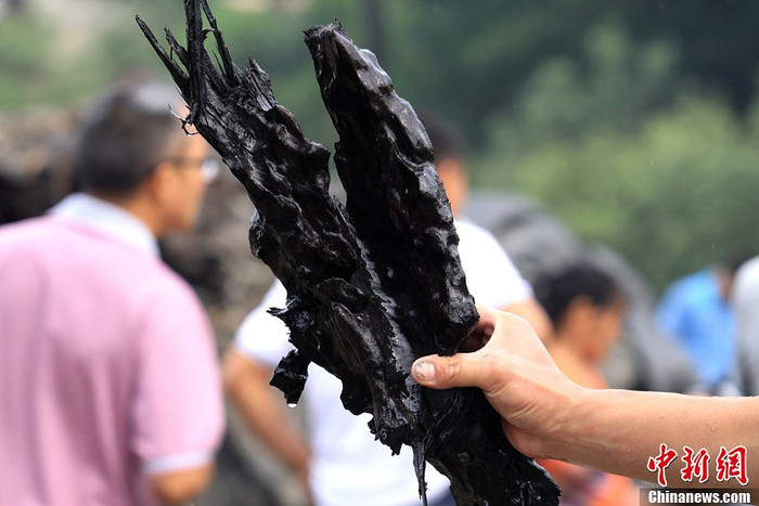 Một mảnh rễ cây. Một mảnh rễ cây.