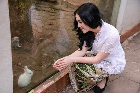 và ngắm nhìn chú thỏ con qua tấm kính chắn và ngắm nhìn chú thỏ con qua tấm kính chắn