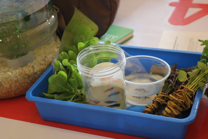 Rau xanh, cá...được học sinh mang đến sự kiện. Ảnh: Đỗ Thơm Rau xanh, cá...được học sinh mang đến sự kiện. Ảnh: Đỗ Thơm