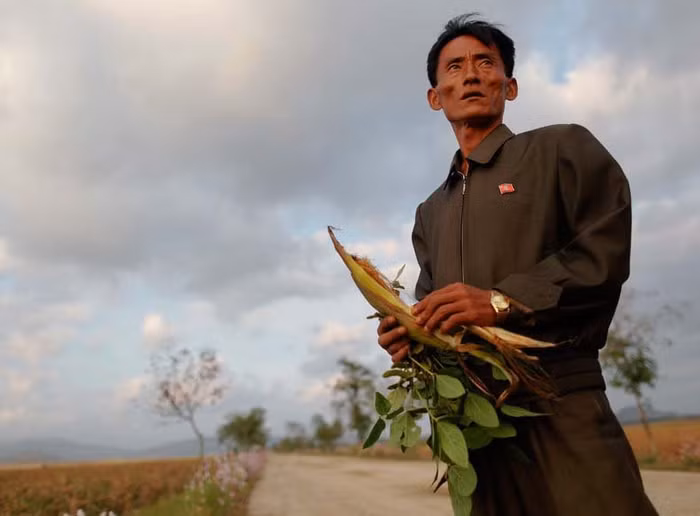 Một người nông dân Bắc Triều Tiên lo lắng khi mùa màng thất bát (hình minh họa) Một người nông dân Bắc Triều Tiên lo lắng khi mùa màng thất bát (hình minh họa)