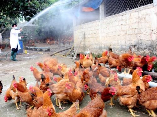 Ảnh minh họa: TTXVN Ảnh minh họa: TTXVN
