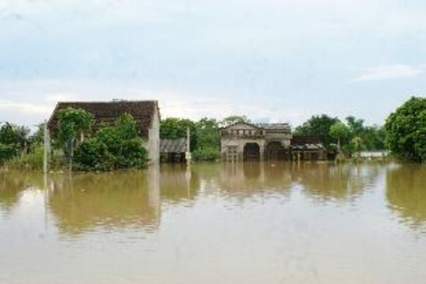 Hàng trăm hộ dân vẫn còn bị ngập trong nước lũ khiến cho các em học sinh không thể đến trường. >>Rớt nước mắt vì học sinh phải quỳ đất trong lễ khai giảng >>Nước mắt người mẹ có con thi đậu Học viện Tài chính Chùm ảnh: Bản hiếu học ở cuối trời Tây Bắc Chùm ảnh: Những trò chơi thuở ấu thơ của học trò (P2)
