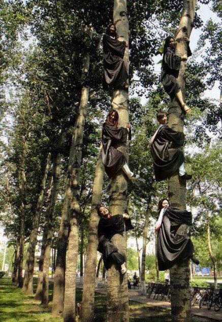 >> KÝ TÚC XÁ "ĐỘC NHẤT VÔ NHỊ" TRÊN THẾ GIỚI >> NHỮNG BÀI VĂN LẠ KHIẾN CƯ DÂN MẠNG "PHÁT SỐT"