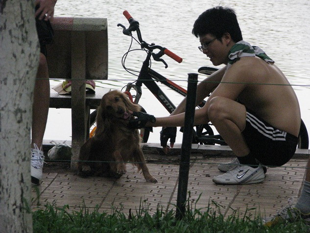 Không ngần ngại sau mỗi giờ giải lao đùa giỡn cùng người bạn của mình. Không ngần ngại sau mỗi giờ giải lao đùa giỡn cùng người bạn của mình.