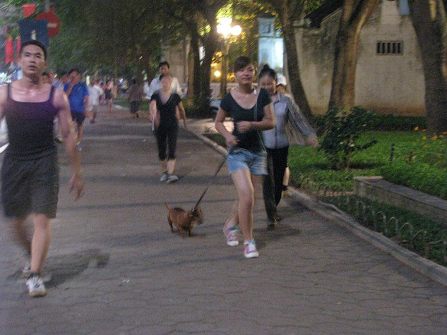 Cuối tuần là cơ hội cho các bạn gặp mặt, giao lưu, chia sẻ kinh nghiệm nuôi cún cưng. Cuối tuần là cơ hội cho các bạn gặp mặt, giao lưu, chia sẻ kinh nghiệm nuôi cún cưng.