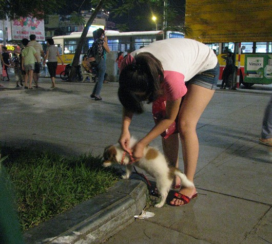 Chăm sóc và quan tâm cho thú cưng rất kỹ càng. Chăm sóc và quan tâm cho thú cưng rất kỹ càng.