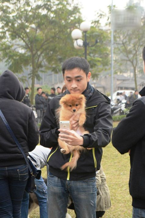 Nhiều bạn trẻ tỏ ra cưng chú chó của mình. Nhiều người coi những chú cún như người bạn thân, lắng nghe tâm sự. Nhiều bạn trẻ tỏ ra cưng chú chó của mình. Nhiều người coi những chú cún như người bạn thân, lắng nghe tâm sự.