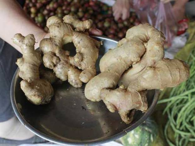 Theo Cục trưởng Cục BVTV, chỉ lo nguy hại và ảnh hưởng sức khỏe nếu người dân ăn từ 0,8-5 kg gừng Trung Quốc mỗi ngày, còn ít hơn thì không sợ. Theo Cục trưởng Cục BVTV, chỉ lo nguy hại và ảnh hưởng sức khỏe nếu người dân ăn từ 0,8-5 kg gừng Trung Quốc mỗi ngày, còn ít hơn thì không sợ.