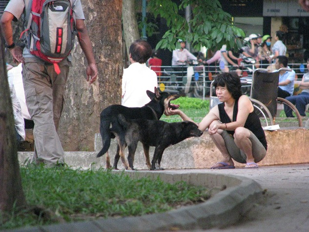 Nhiều bạn trẻ tỏ ra cưng chú chó của mình. Nhiều người coi những chú cún như người bạn thân, lắng nghe tâm sự. Nhiều bạn trẻ tỏ ra cưng chú chó của mình. Nhiều người coi những chú cún như người bạn thân, lắng nghe tâm sự.