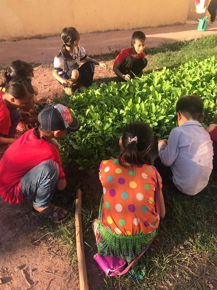 Các em tự chủ luôn nguồn rau sạch phục vụ bản thân và các bạn. Ảnh: NTCC Các em tự chủ luôn nguồn rau sạch phục vụ bản thân và các bạn. Ảnh: NTCC