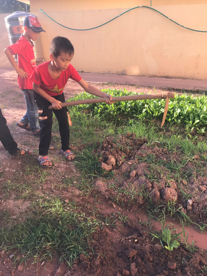 Học sinh trường Nậm Nhừ chăm sóc vườn rau sau giờ học. Ảnh: NTCC Học sinh trường Nậm Nhừ chăm sóc vườn rau sau giờ học. Ảnh: NTCC