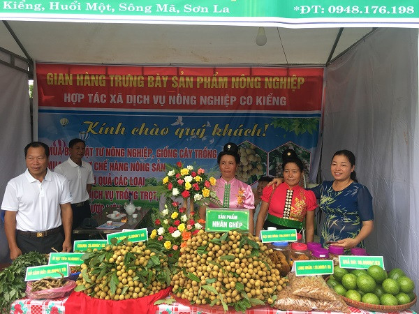 Sản phẩm của người nông dân các dân tộc ở Sơn La đã vươn ra thế giới. (Ảnh: Baotainguyenmoitruong)