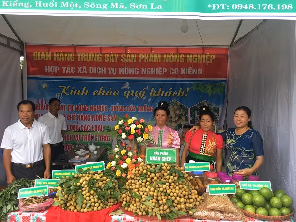 Sản phẩm của người nông dân các dân tộc ở Sơn La đã vươn ra thế giới. (Ảnh: Baotainguyenmoitruong) Sản phẩm của người nông dân các dân tộc ở Sơn La đã vươn ra thế giới. (Ảnh: Baotainguyenmoitruong)