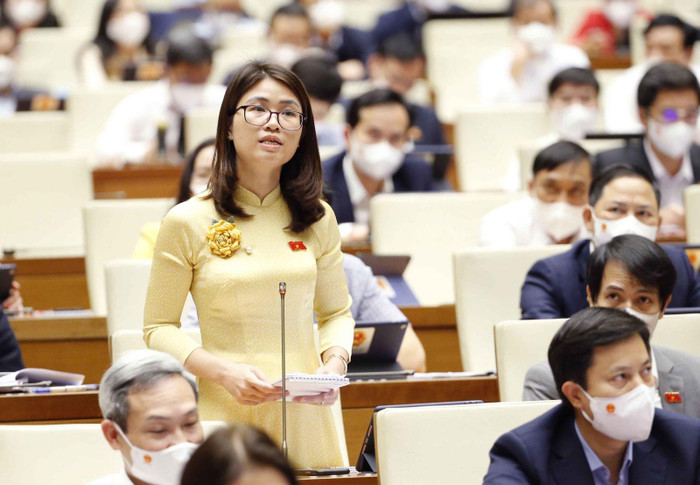 Đại biểu Đinh Thị Ngọc Dung (Hải Dương) chất vấn. Đại biểu Đinh Thị Ngọc Dung (Hải Dương) chất vấn.