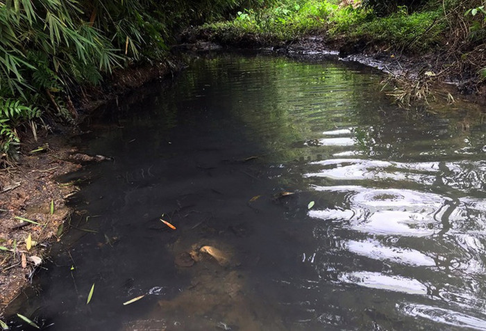 Nếu biết nước bẩn mà không ngăn chặn, không báo cáo, vẫn cung cấp cho dân là có vấn đề đạo đức. ảnh: QĐ Nếu biết nước bẩn mà không ngăn chặn, không báo cáo, vẫn cung cấp cho dân là có vấn đề đạo đức. ảnh: QĐ