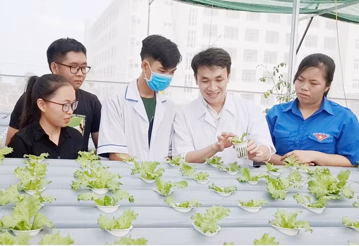 Giờ thực hành của sinh viên ngành Khoa học cây trồng (Trường Đại học Kiên Giang) tại nhà lưới. Ảnh: website nhà trường