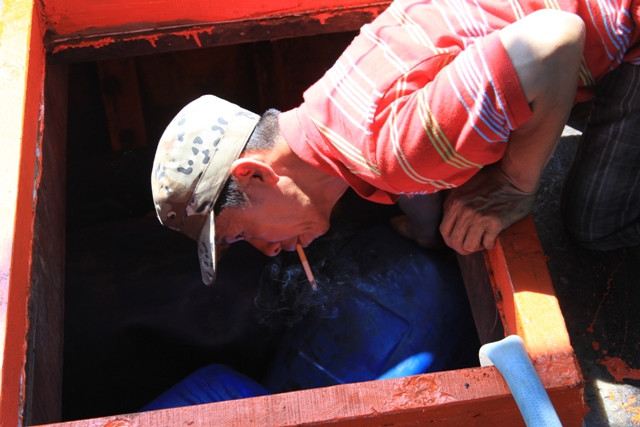 Vị thuyền trưởng nhiều năm "chinh chiến" trên vùng biển Hoàng Sa cẩn thận kiểm tra lại tàu của mình trước giờ xuất phát. Theo ông Chơi, chuyến vừa rồi tàu của ông đánh bắt được hơn 2 tỷ đồng, trừ mọi chi phí cũng lãi vài trăm triệu đồng. "Biển là nhà, là nguồn sống của anh em ngư dân chúng tôi. Đời tôi, rồi con cháu tôi và nhiều ngư dân khác sẽ tiếp tục bám biển, đánh bắt hải sản và khẳng định chủ quyền đất nước ngoài Biển Đông", thuyền trưởng Chơi nói tiếp. Vị thuyền trưởng nhiều năm "chinh chiến" trên vùng biển Hoàng Sa cẩn thận kiểm tra lại tàu của mình trước giờ xuất phát. Theo ông Chơi, chuyến vừa rồi tàu của ông đánh bắt được hơn 2 tỷ đồng, trừ mọi chi phí cũng lãi vài trăm triệu đồng. "Biển là nhà, là nguồn sống của anh em ngư dân chúng tôi. Đời tôi, rồi con cháu tôi và nhiều ngư dân khác sẽ tiếp tục bám biển, đánh bắt hải sản và khẳng định chủ quyền đất nước ngoài Biển Đông", thuyền trưởng Chơi nói tiếp.