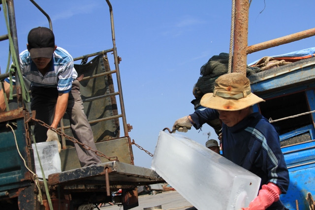 ...đến việc chuẩn bị đá lạnh để ướp cá, mực... ...đến việc chuẩn bị đá lạnh để ướp cá, mực...