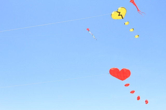 Chủ đề của cuộc thi do các Câu lạc bộ Diều tự chọn, chủ yếu phản ánh nét văn hóa của Việt Nam, Quảng Nam, Hội An hay của địa phương mình. Đặc biệt, chủ đề biển, đảo của Tổ quốc được nhiều Câu lạc bộ chọn làm diều. Chủ đề của cuộc thi do các Câu lạc bộ Diều tự chọn, chủ yếu phản ánh nét văn hóa của Việt Nam, Quảng Nam, Hội An hay của địa phương mình. Đặc biệt, chủ đề biển, đảo của Tổ quốc được nhiều Câu lạc bộ chọn làm diều.