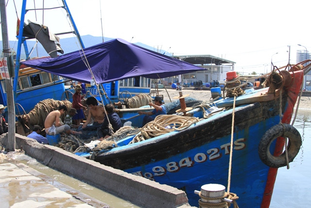 Mặc dù trời Đà Nẵng nắng gắt gao từ sớm, nhưng không khí chuẩn bị tiến ra biển Hoàng Sa đánh bắt hải sản của nhiều tàu thuyền ngư dân miền Trung tại Âu thuyền Thọ Quang "nóng" hơn. Mặc dù trời Đà Nẵng nắng gắt gao từ sớm, nhưng không khí chuẩn bị tiến ra biển Hoàng Sa đánh bắt hải sản của nhiều tàu thuyền ngư dân miền Trung tại Âu thuyền Thọ Quang "nóng" hơn.