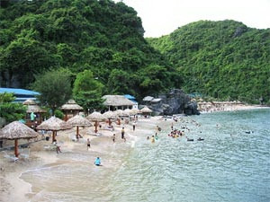 Một góc đảo Cát Bà, thành phố Hải Phòng. Nguồn: Internet. Một góc đảo Cát Bà, thành phố Hải Phòng. Nguồn: Internet.