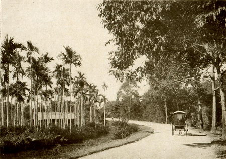 Đường tới Biên Hòa.