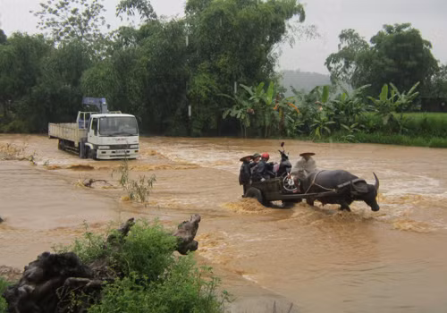 Chỉ sau hơn một giờ mưa. Chụp tại Văn Bàn, Lào Cai. Ảnh: Hà Đỗ. Chỉ sau hơn một giờ mưa. Chụp tại Văn Bàn, Lào Cai. Ảnh: Hà Đỗ.