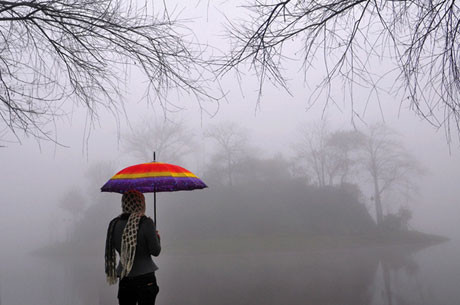 Co ro trong cái lạnh và sương mù của Sapa. Ảnh: Internet. Co ro trong cái lạnh và sương mù của Sapa. Ảnh: Internet.