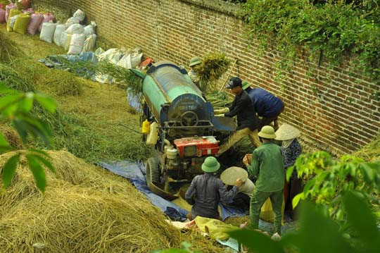 Bà con giúp đỡ lẫn nhau trong không khí nhộn nhịp, khẩn trương.