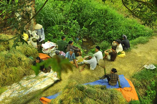 Phút nghỉ ngơi của bà con thôn xóm.