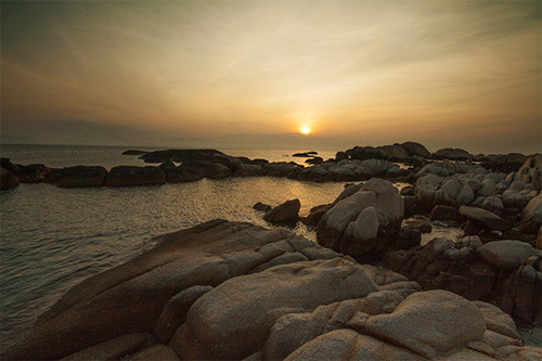 Nếu có dịp đến với Cù Lao Câu, xin bạn hay chung tay giữ gìn vẻ đẹp hoang sơ này. Nếu có dịp đến với Cù Lao Câu, xin bạn hay chung tay giữ gìn vẻ đẹp hoang sơ này.