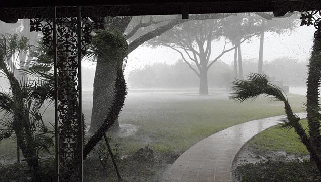 Chiều mưa rừng ngút ngàn trên Tây Nguyên. Ảnh: Internet. Chiều mưa rừng ngút ngàn trên Tây Nguyên. Ảnh: Internet.