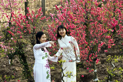 Những cành hoa đào cùng em đội mưa xuân đến thăm anh. Ảnh minh họa: Internet. Những cành hoa đào cùng em đội mưa xuân đến thăm anh. Ảnh minh họa: Internet.