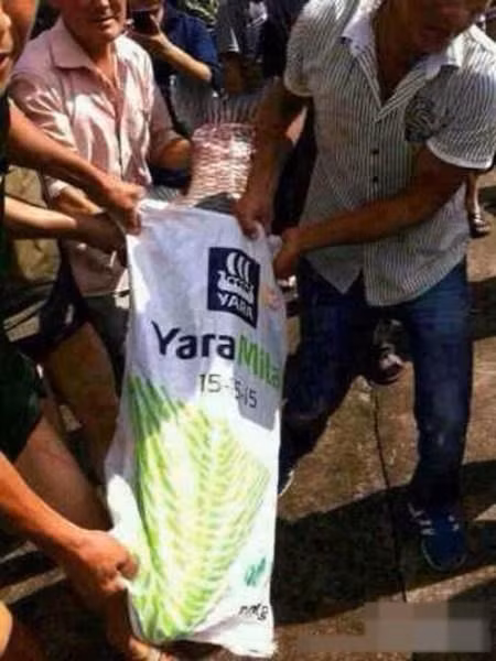 3 người lớn mới cho được con cá trắm đen "khủng" vào trong bao.