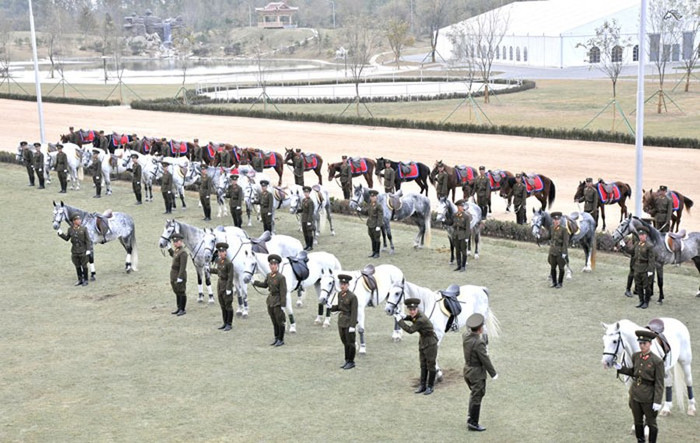 Những con tuấn mã nhà lãnh đạo Kim Jong-un tặng trường đua ngựa. Những con tuấn mã nhà lãnh đạo Kim Jong-un tặng trường đua ngựa.