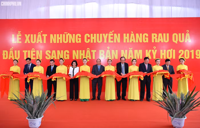 Thủ tướng cắt băng lễ xuất những chuyến hàng rau quả đầu tiên sang Nhật Bản năm Kỷ hợi 2019. Ảnh: VGP