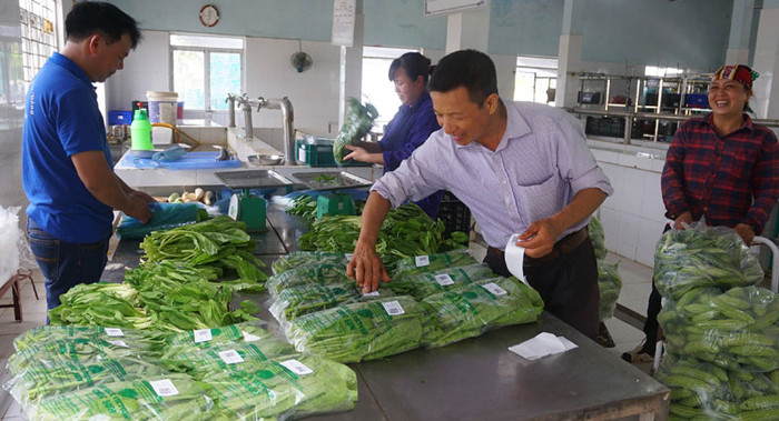 Đóng gói sản phẩm rau xanh canh tác theo tiêu chuẩn VietGAP tại Hợp tác xã Rau quả sạch Chúc Sơn (huyện Chương Mỹ, Hà Nội). Ảnh: Hà Nội mới. Đóng gói sản phẩm rau xanh canh tác theo tiêu chuẩn VietGAP tại Hợp tác xã Rau quả sạch Chúc Sơn (huyện Chương Mỹ, Hà Nội). Ảnh: Hà Nội mới.