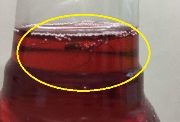 Pepsico thừa nhận nhập nguyên liệu sản xuất trà Ô long Tea+ Plus từ Trung Quốc ảnh 4