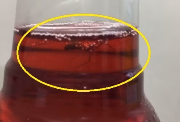 Pepsico thừa nhận nhập nguyên liệu sản xuất trà Ô long Tea+ Plus từ Trung Quốc ảnh 4