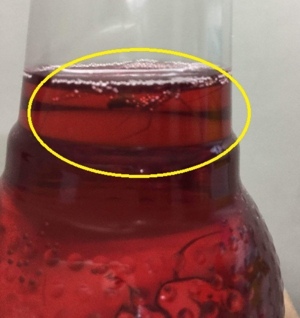 Hình ảnh chai nước có hình giống con nhện đã chết được anh Chính phát hiện. Ảnh Trần Việt. Hình ảnh chai nước có hình giống con nhện đã chết được anh Chính phát hiện. Ảnh Trần Việt.