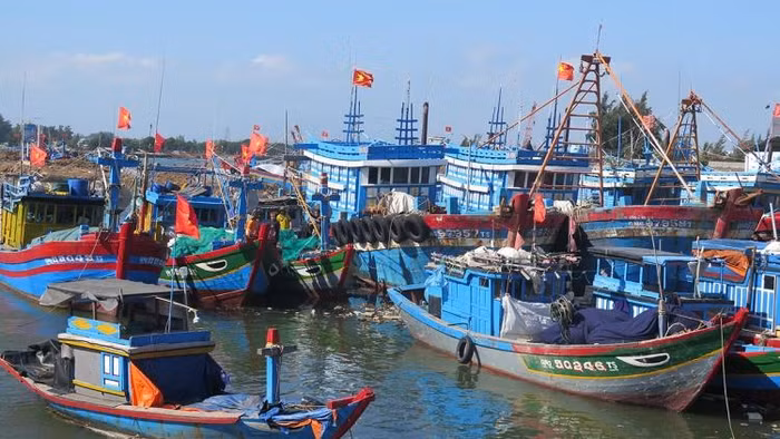 Ảnh minh họa: VOV