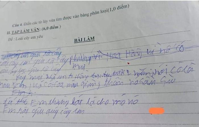 Chấm văn học trò, thầy cô buồn vô hạn, ảnh minh họa: tác giả. Chấm văn học trò, thầy cô buồn vô hạn, ảnh minh họa: tác giả.