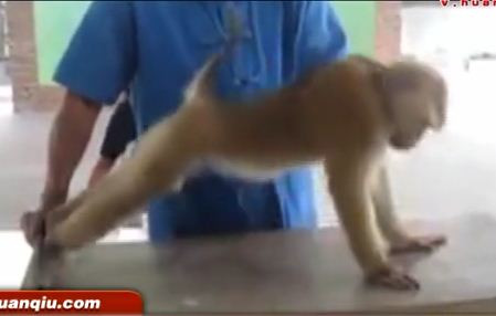 Hình chụp từ đoạn video