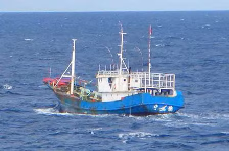 Tàu cá Trung Quốc (hình minh họa)