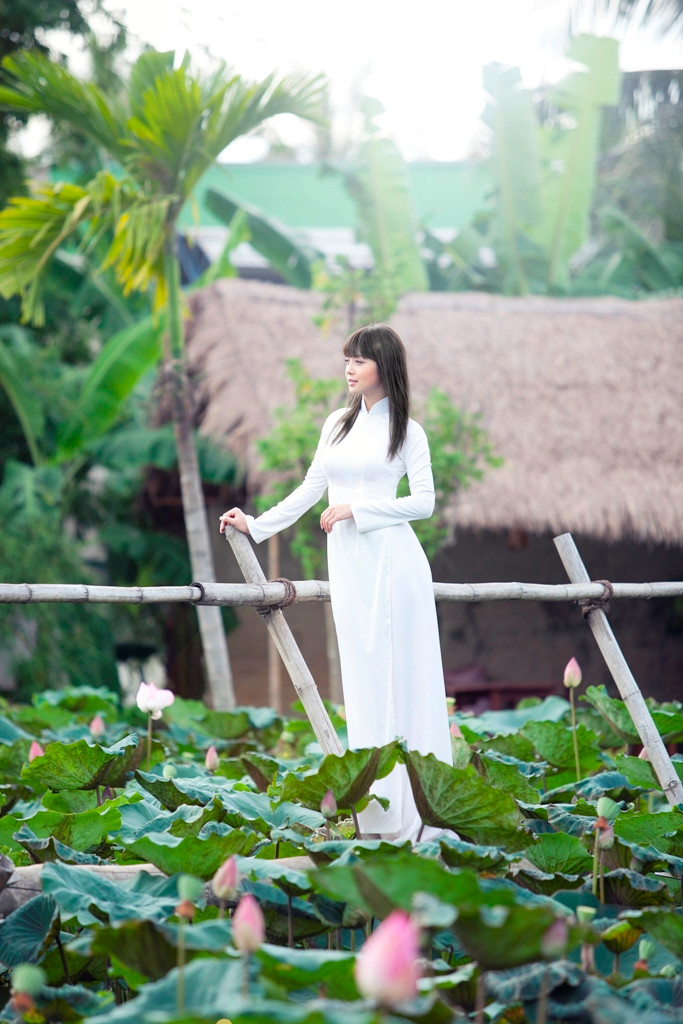 Hoa hậu châu Á tại Mỹ 2006, Jennifer Phạm đẹp trong ngần giữa làng quê yên bình, vào một buổi sáng còn đọng "Sương mai". Ảnh chụp tại Nha Trang (Khánh Hoà). Photo: Lê Thanh Tùng - Đạo diễn hình ảnh: Vô Thường. Ê-kíp thực hiện: Đạo diễn hình ảnh Vô Thường - Nhiếp ảnh gia: Quốc Huy, Lê Thanh Tùng, Nguyễn Long - Trang điểm: Hạ My, Andy Phan, Phước Lợi, Thanh Phước, Nguyễn Hùng, Dũng Art, Huy Tuấn, Hà Hùng Dũng, Nam Doo - Thiết kế: Đức Hùng, Thuận Việt. Hoa hậu châu Á tại Mỹ 2006, Jennifer Phạm đẹp trong ngần giữa làng quê yên bình, vào một buổi sáng còn đọng "Sương mai". Ảnh chụp tại Nha Trang (Khánh Hoà). Photo: Lê Thanh Tùng - Đạo diễn hình ảnh: Vô Thường. Ê-kíp thực hiện: Đạo diễn hình ảnh Vô Thường - Nhiếp ảnh gia: Quốc Huy, Lê Thanh Tùng, Nguyễn Long - Trang điểm: Hạ My, Andy Phan, Phước Lợi, Thanh Phước, Nguyễn Hùng, Dũng Art, Huy Tuấn, Hà Hùng Dũng, Nam Doo - Thiết kế: Đức Hùng, Thuận Việt.